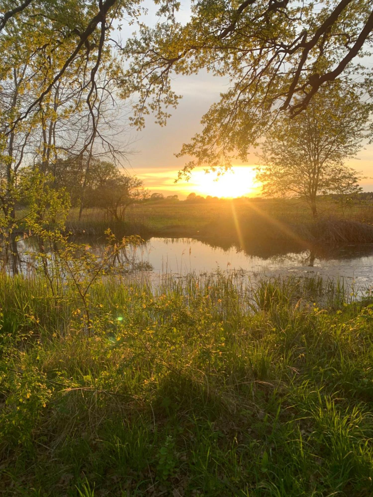 Appartamento Spreehof Goebeln Grossdubrau Esterno foto